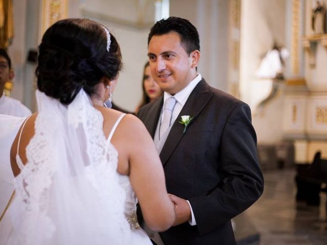 La boda de José Luís  y Alejandra  en Córdoba, Veracruz 22