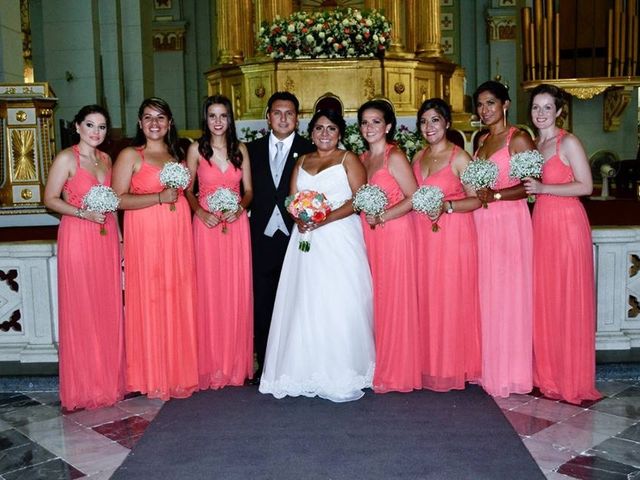 La boda de José Luís  y Alejandra  en Córdoba, Veracruz 27