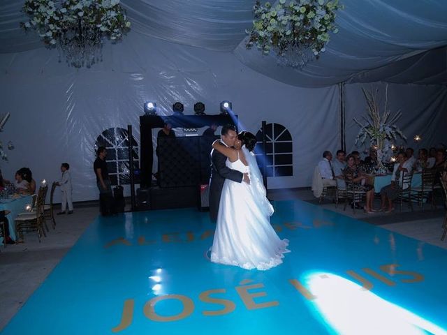 La boda de José Luís  y Alejandra  en Córdoba, Veracruz 29