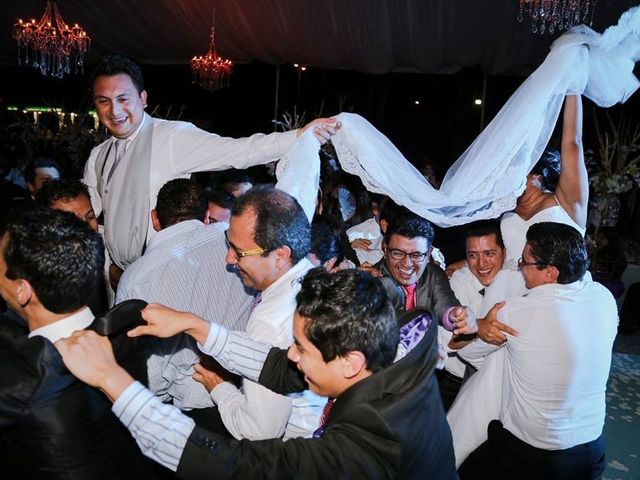 La boda de José Luís  y Alejandra  en Córdoba, Veracruz 38