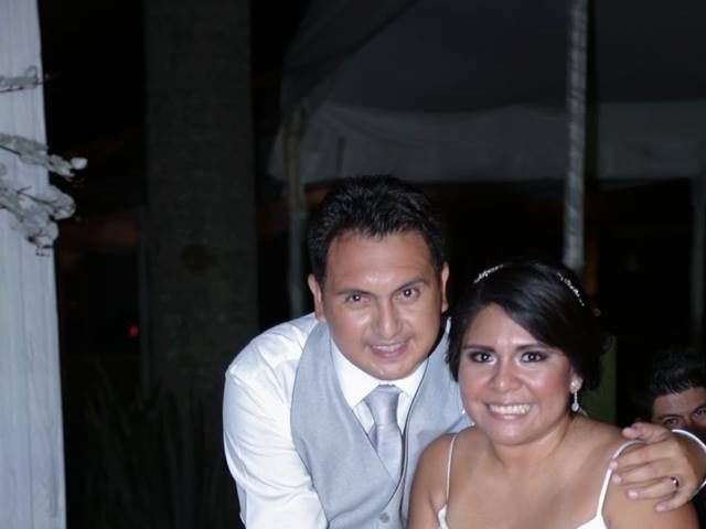 La boda de José Luís  y Alejandra  en Córdoba, Veracruz 42