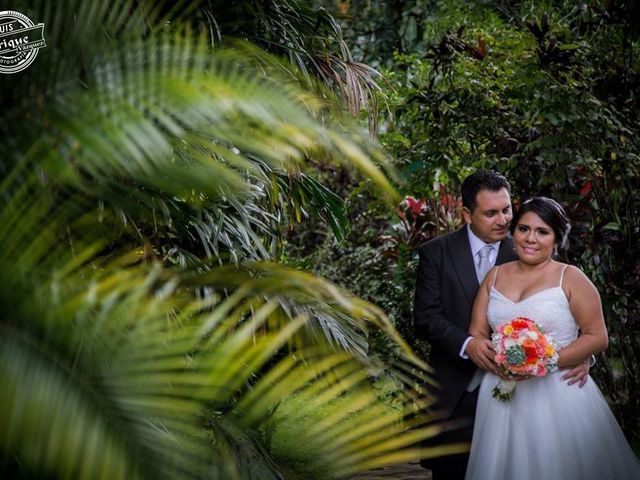 La boda de José Luís  y Alejandra  en Córdoba, Veracruz 11