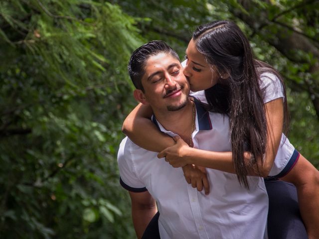 La boda de Omar y Luz en Uruapan, Michoacán 4