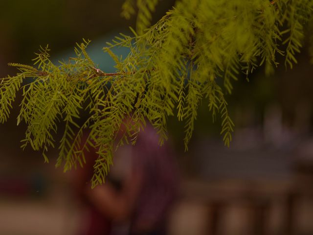 La boda de Carlos y Sarahí en Chihuahua, Chihuahua 27