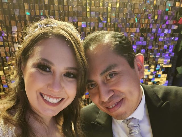 La boda de Juan Carlos y Cinthia en Cuauhtémoc, Ciudad de México 4