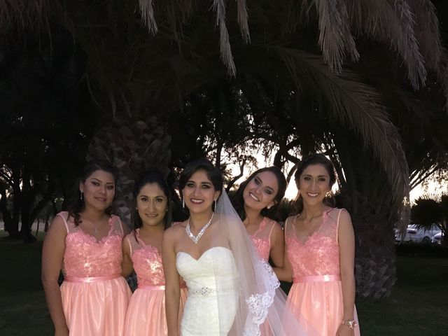 La boda de Carlos Torres y Sofía Castillo en San Luis Potosí, San Luis Potosí 5