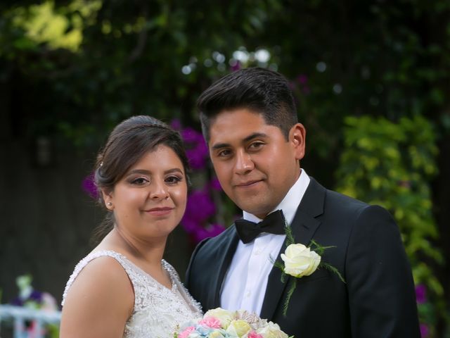 La boda de Luis y Zulim en Tlalpan, Ciudad de México 43