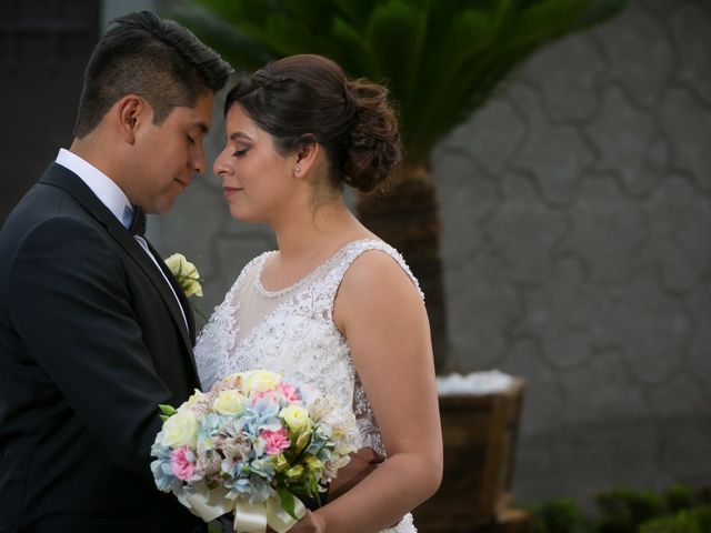 La boda de Luis y Zulim en Tlalpan, Ciudad de México 59