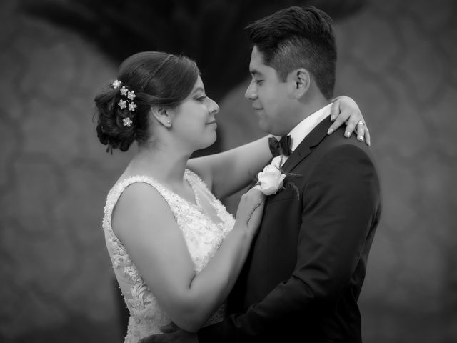 La boda de Luis y Zulim en Tlalpan, Ciudad de México 61