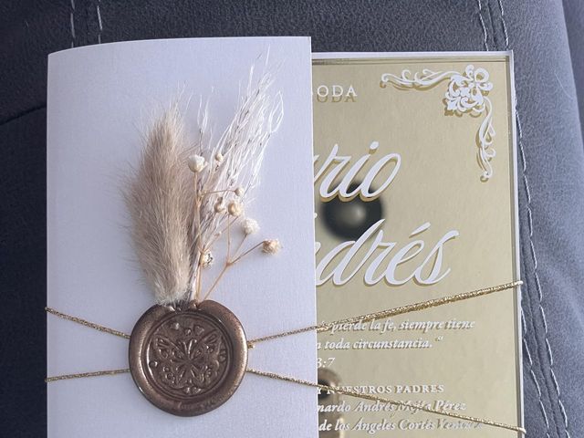 La boda de Andrés  y Rosario  en Puebla, Puebla 5