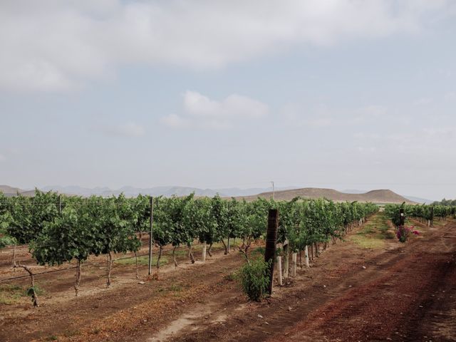 La boda de Víctor y Irma en Parras de la Fuente, Coahuila 4