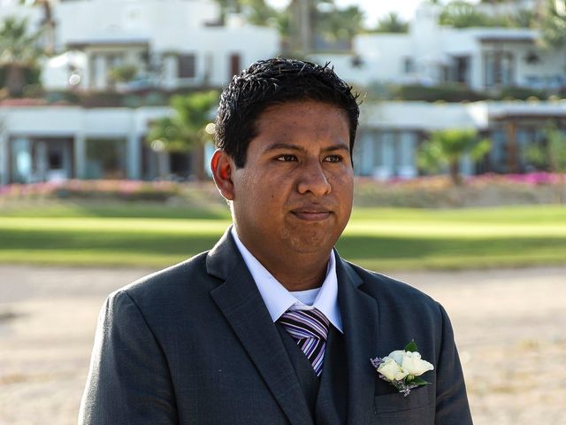 La boda de David y Damaris en Cabo San Lucas, Baja California Sur 15