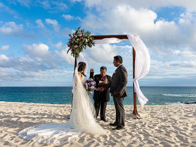 La boda de David y Damaris en Cabo San Lucas, Baja California Sur 18