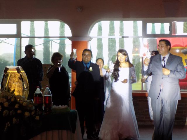 La boda de Diego y Elena en San Juan del Río, Querétaro 10