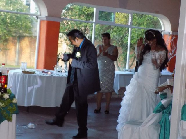 La boda de Diego y Elena en San Juan del Río, Querétaro 11