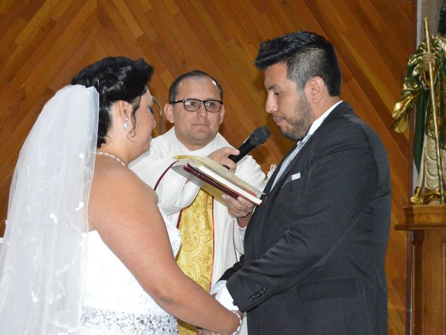 La boda de Cristian y Nayely en Coyoacán, Ciudad de México 9