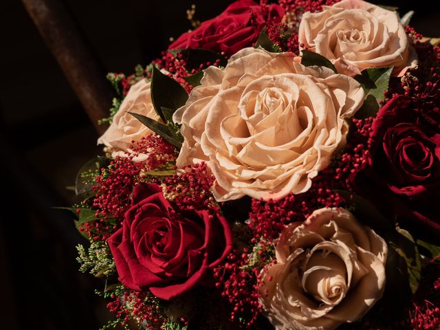 La boda de Daniel y Mayra en Jiutepec, Morelos 3