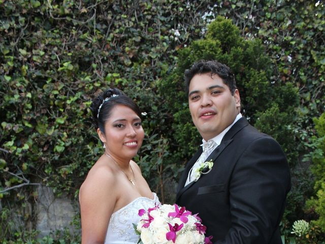 La boda de Carlos  y Elizabeth  en Cuajimalpa, Ciudad de México 45