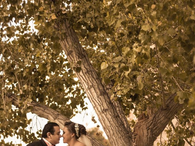 La boda de Vicente y Rocío en Chihuahua, Chihuahua 18