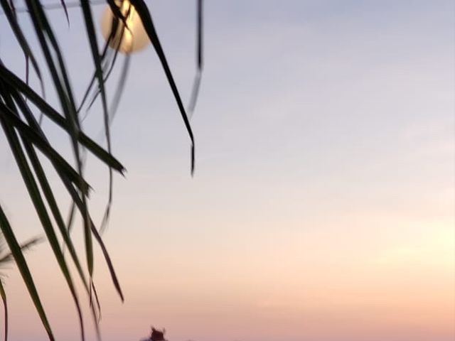 La boda de Martin  y Aylin  en Mazatlán, Sinaloa 8