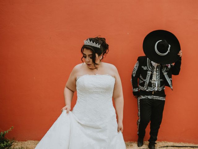 La boda de Alberto y Diana en Soyaniquilpan de Juárez, Estado México 92