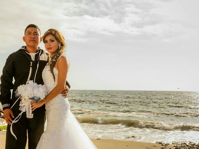 La boda de Elias  y Perla  en Puerto Vallarta, Jalisco 9