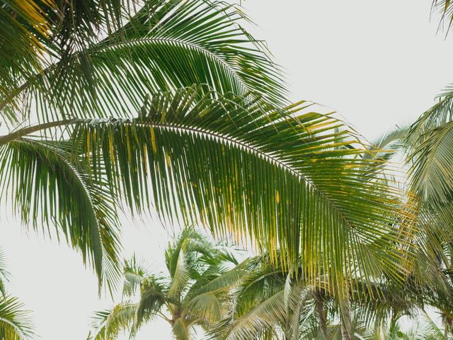 La boda de Orlando y Thania en Bahía de Banderas, Nayarit 60