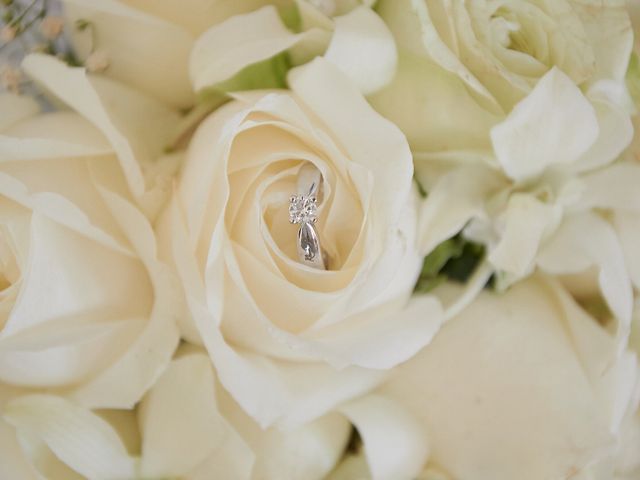 La boda de Alejandro y Adriana en Ixtapa Zihuatanejo, Guerrero 1