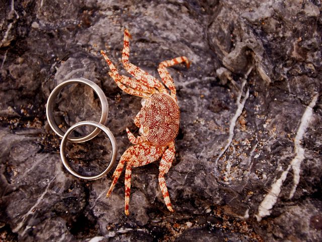 La boda de Alejandro y Adriana en Ixtapa Zihuatanejo, Guerrero 27