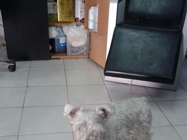 La boda de Edgar y Jessica en Tlalpan, Ciudad de México 21
