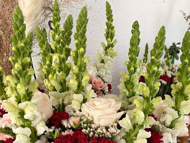 La boda de Roberto y Diana en Bernal, Querétaro 3