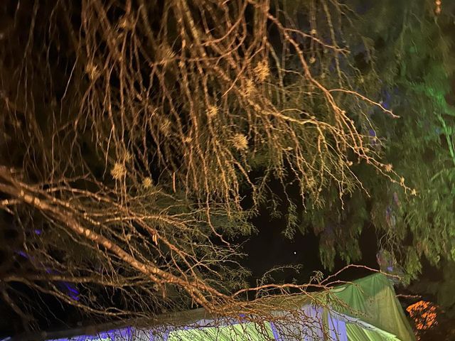 La boda de Roberto y Diana en Bernal, Querétaro 5