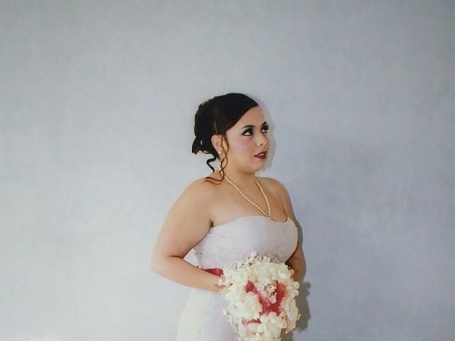 La boda de Raúl y Alexa en Xochimilco, Ciudad de México 6