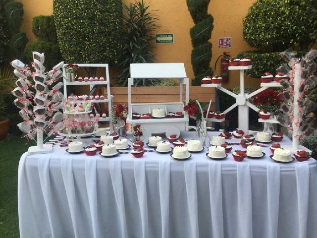 La boda de Raúl y Alexa en Xochimilco, Ciudad de México 9