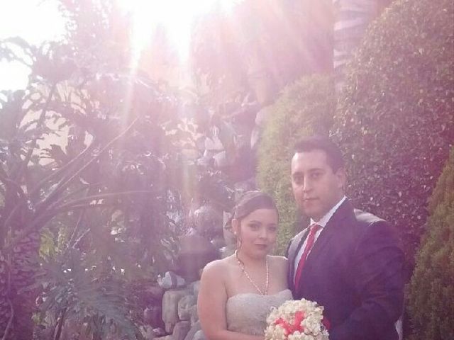 La boda de Raúl y Alexa en Xochimilco, Ciudad de México 1