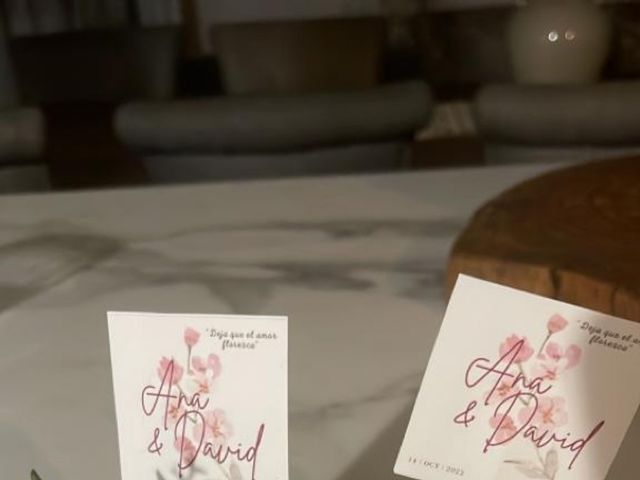 La boda de David y Ana en Allende, Nuevo León 4