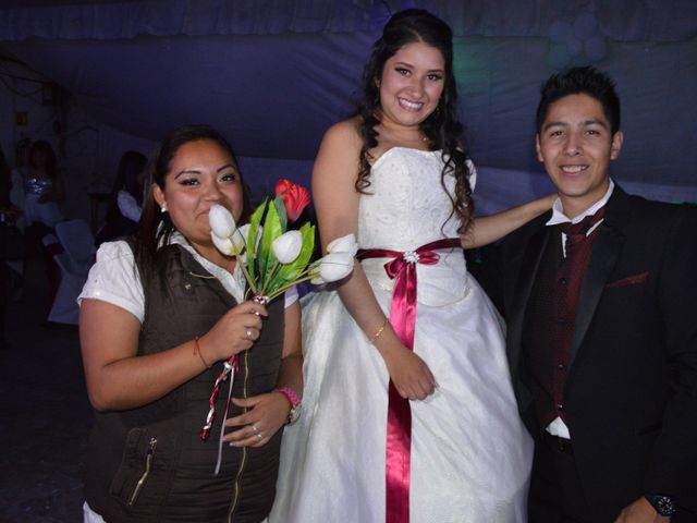 La boda de Román y Ana en Álvaro Obregón, Ciudad de México 30