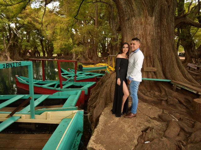 La boda de Ana y Luis en Guadalajara, Jalisco 19