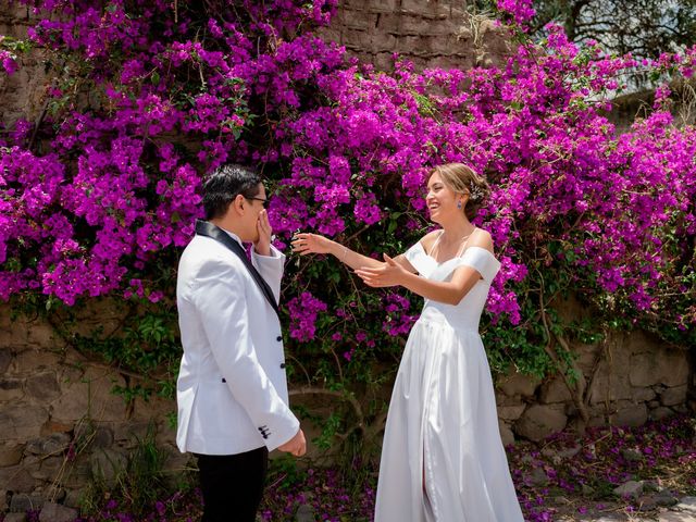 La boda de Alberto y Bellien en Toluca, Estado México 6