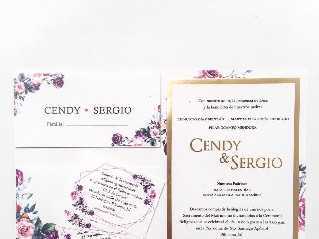La boda de Sergio y Cendy en Pihuamo, Jalisco 5