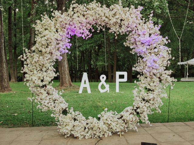 La boda de Pedro y Adi en Santiago, Nuevo León 33