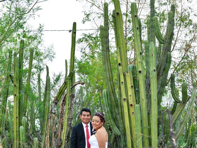La boda de Eduardo y Alicia Guadalupe en Izúcar de Matamoros, Puebla 9
