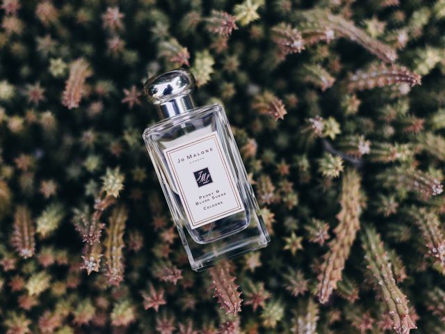 La boda de Anthon y Liz en San Miguel de Allende, Guanajuato 3