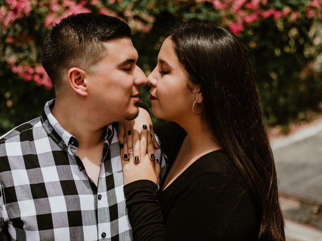 La boda de Carlos y Anahi en Gómez Palacio, Durango 6