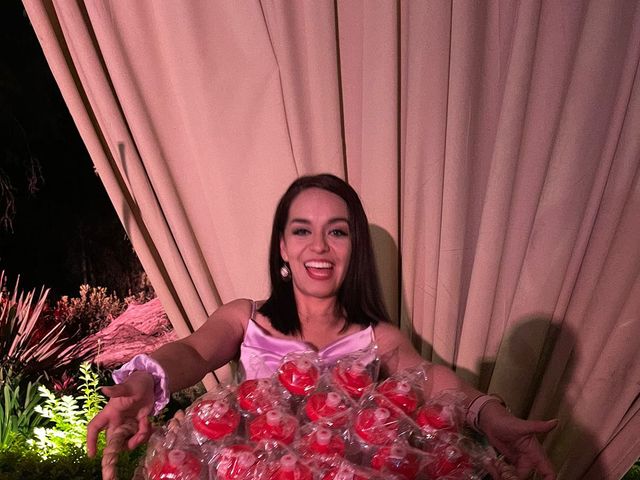 La boda de Christian  y Laura  en León, Guanajuato 17