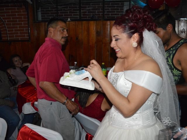 La boda de Mario y Liana en Cuautitlán, Estado México 57