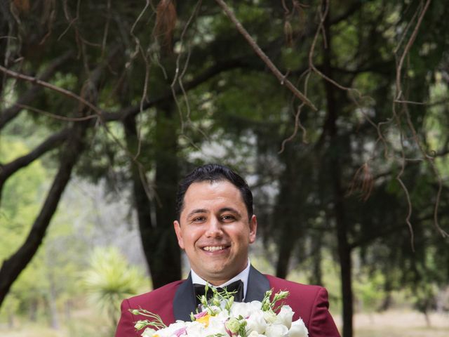 La boda de Javier y Olga en Omitlán de Juárez, Hidalgo 21