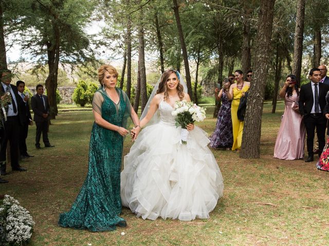 La boda de Javier y Olga en Omitlán de Juárez, Hidalgo 30