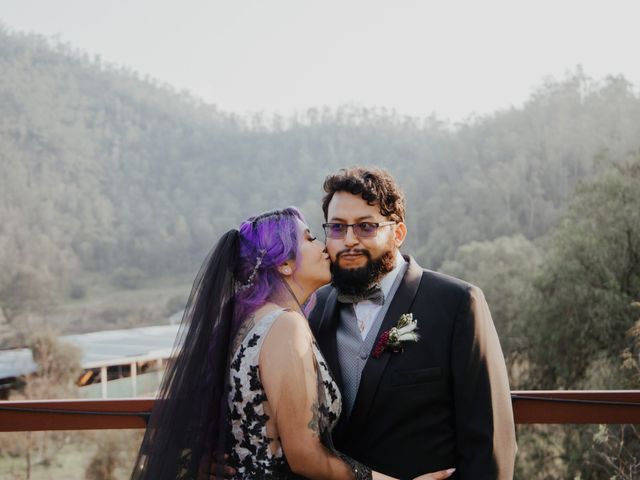 La boda de Luis y Berenice en Xochimilco, Ciudad de México 43