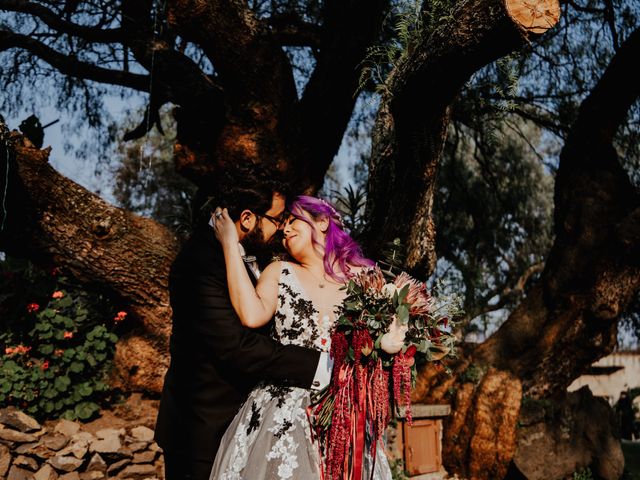 La boda de Luis y Berenice en Xochimilco, Ciudad de México 49